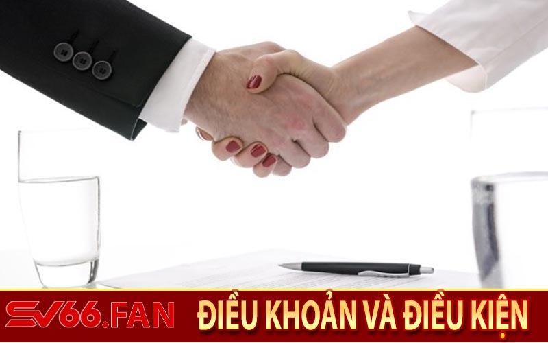 Điều Khoản Và Điều Kiện