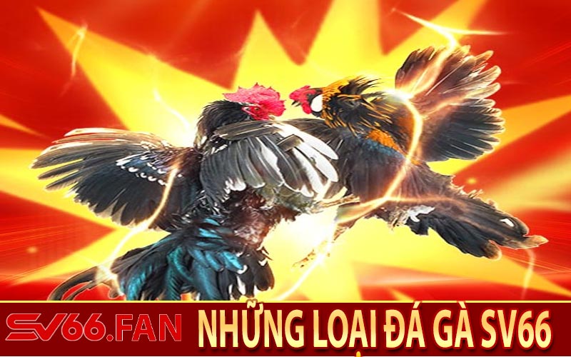 Những Loại Đá Gà SV66